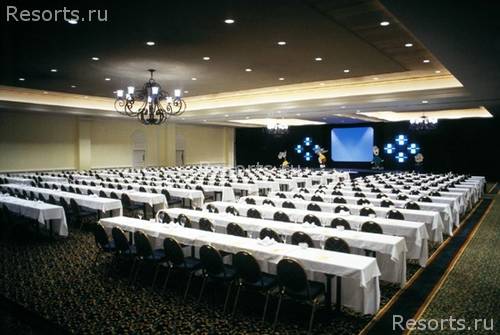 The Westin Grand Bahama Island Our Lucaya Resort 44